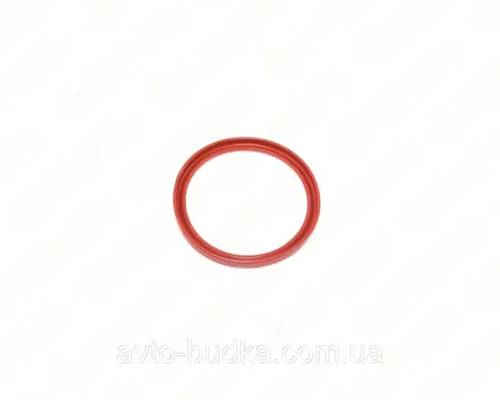 Кільце ущільнювача патрубка інтеркуллера на Renault Scenic III двигун 1.5dCi;  RS RS33349 Київ