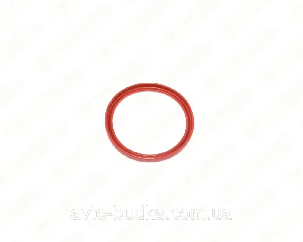 Кільце ущільнювача патрубка інтеркуллера на Renault Scenic III двигун 1.5dCi;  RS RS33349 Київ - фото 3