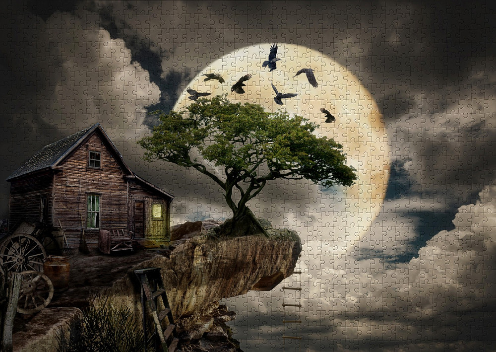 Пазл Зроблена з колод хатина на скелі - A Log Cabin on a Cliff (Enjoy-1614) Киев - изображение 5