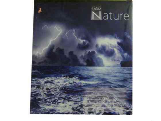 Зошит кольорова 96арк клітина Golden Briz (10 шт) Харків