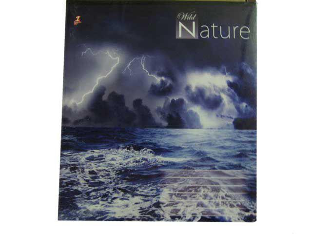 Зошит кольорова 96арк клітина Golden Briz (10 шт) Харків - фото 1