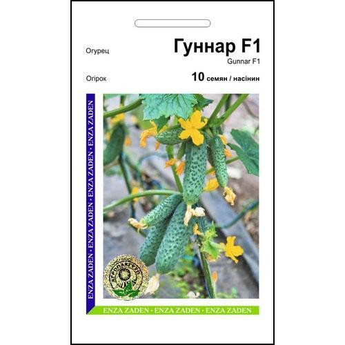 Семена огурца Гуннар F1 10 сем., Enza Zaden, Голландия Винница - изображение 1