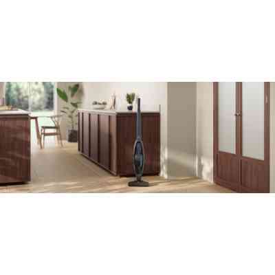 Пылесос Electrolux ES31CB18GG Винница