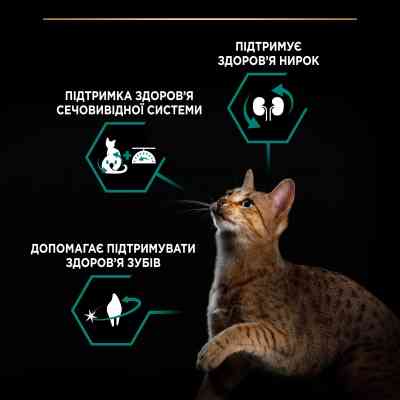 Сухой корм для кошек Purina Pro Plan Sterilised Adult 1+ Renal Plus Для взрослых стерилизованных С индейкой 14 кг (7613287887702) Винница