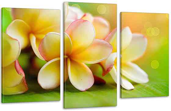 Модульна картина Квіти Art-96_3 Київ