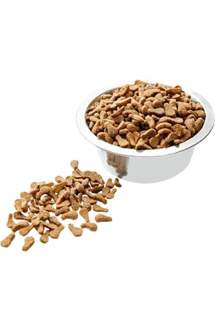 Сухой корм Пан Кот для взрослых кошек с говядиной 10 кг Винница