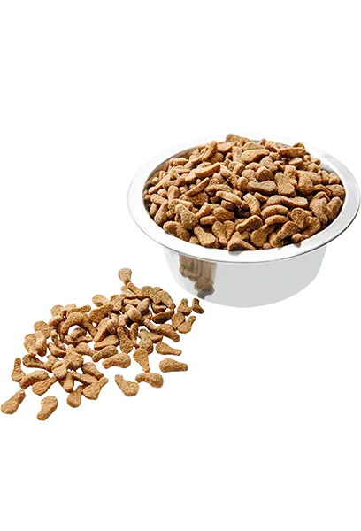 Сухой корм Пан Кот для взрослых кошек с говядиной 10 кг Винница - изображение 2