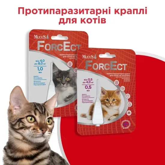 Протипаразитарні краплі ФорсЕкт ForcEct для котів та кошенят 4,0-8,0 кг 1,0 мл, MODES Вінниця - фото 3
