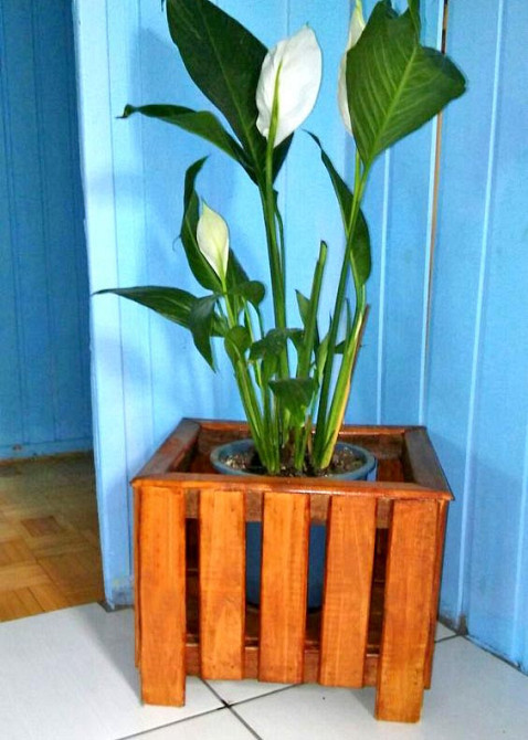 Кашпо "Цикорій" шафран Миколаїв - фото 1