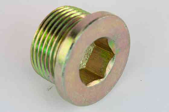 Пробка зливу масла GP Citroen Jumper (22x1,5mm) (16993411) Київ