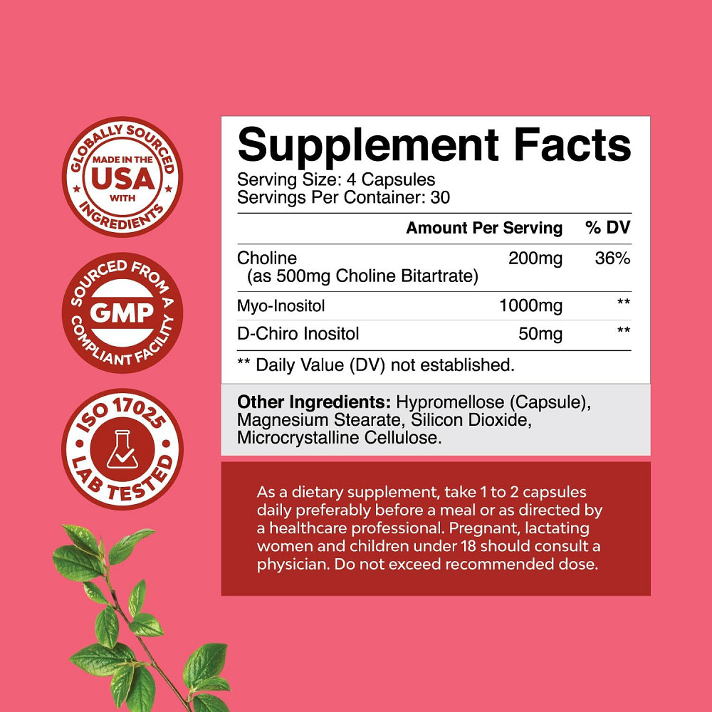 Myo & D-Chiro Inositol with Choline, 120 Capsules Луцк - изображение 2