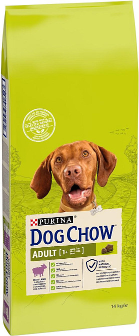 Сухой корм для взрослых собак Dog Chow Adult Lamb с ягненком, 14 кг Винница - изображение 1
