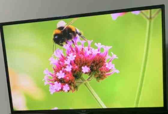 Телевізор LG 50" ( 47LN5404) Київ