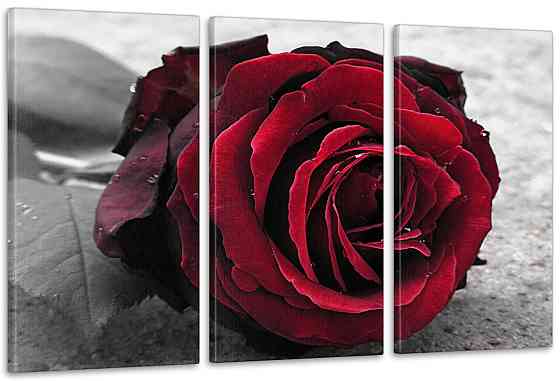 Модульна картина Троянда Art-32_3А Київ