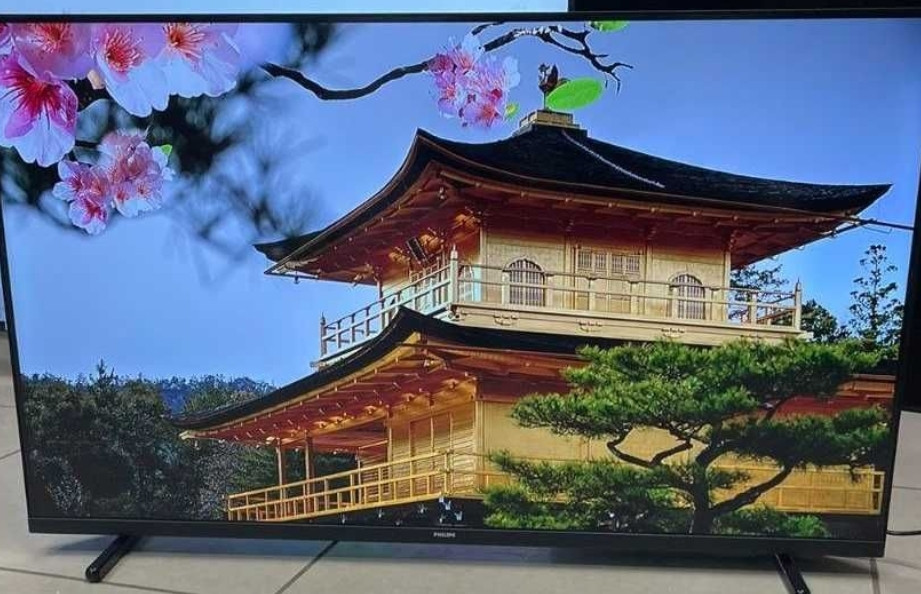 Телевизор: 43