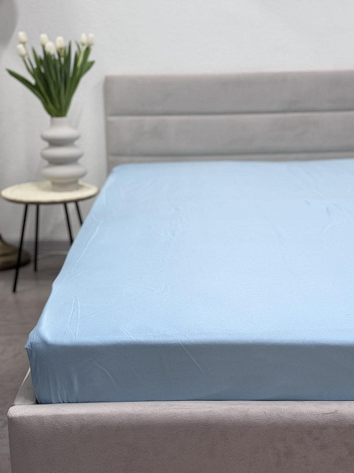 Ecotton Простирадло на резинці Ecotton 180х200 см блакитний Blue 24584 Київ - фото 1