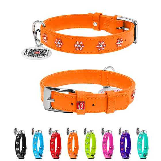 Нашийник для собак шкіряний WAUDOG Glamour з QR паспортом, з клейовими стразами "Квіти", Ш 15 м Коломыя