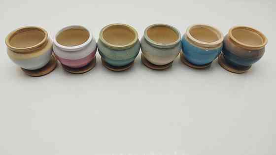 Набір керамічних горщиків для сукулентів з бамбуковими основами 6шт Луцьк