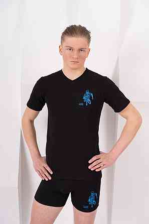 Футболка мужская Lans 12/030 Киев