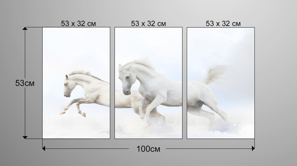 Модульная картина Белые Лошади Аrt-129_3А Киев - изображение 3