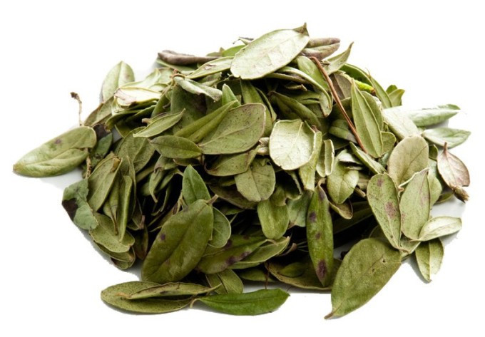 500г. Брусника (лист). MasterSEM Киев - изображение 1