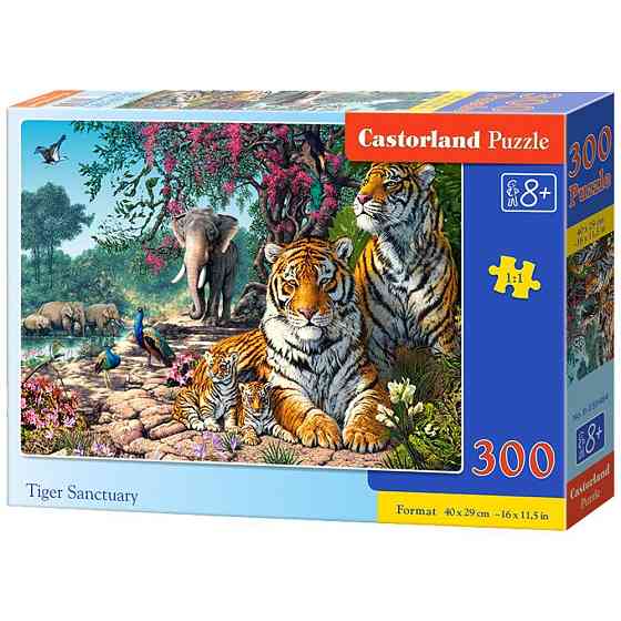 Пазл Castorland 300, шт Київ