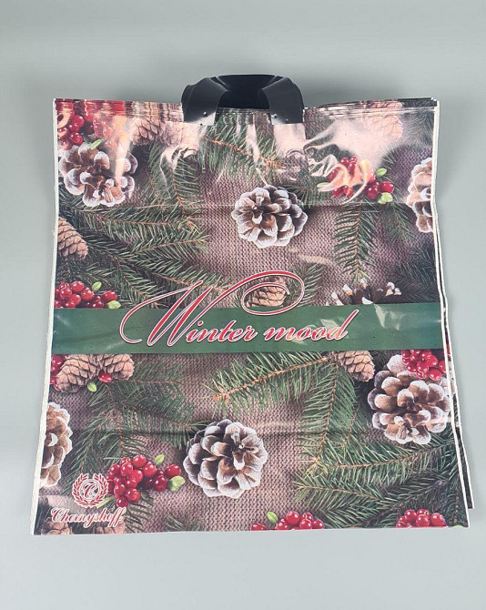 Пакет із петльовою ручкою 40*42 ВТ Н.Год "Змінний настрій" Ренпако (25 шт.) Харків - фото 1