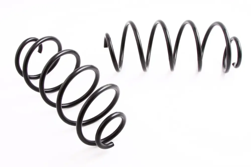 Пружины 1119 передние Lesjofors Винница - изображение 1