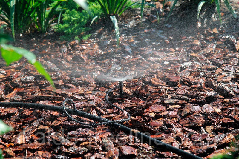 Мікроджет Presto-PS крапельниця для поливу Парасолька 360° (AS-M68) Харьков - изображение 6