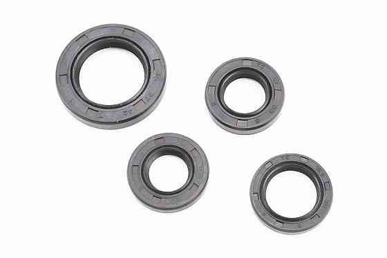 Сальники к-кт 4шт (16,4x30x5; 17x30x6; 19,8x30x5; 27x42x7) двигуна Київ