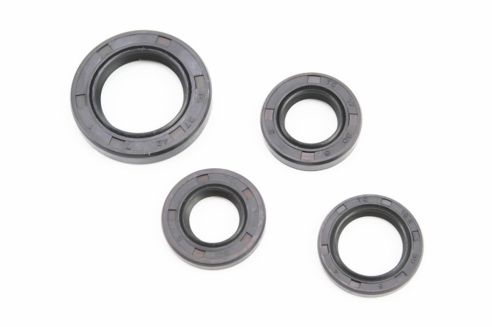 Сальники к-кт 4шт (16,4x30x5; 17x30x6; 19,8x30x5; 27x42x7) двигуна Киев - изображение 1