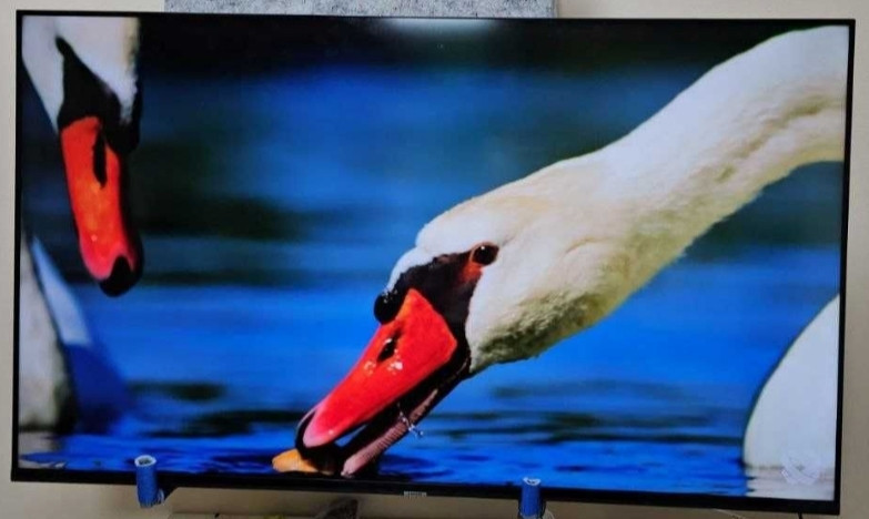 Телевизор: 65