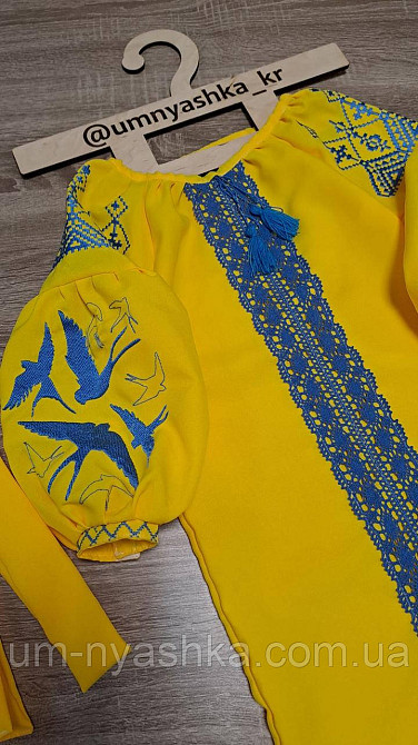 Дитяча вишита сукня з ластівками 104-152 Кривой Рог - изображение 9