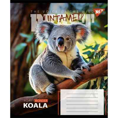 Зошит Yes The wild А5 48 аркушів клітинка (767739) Вінниця