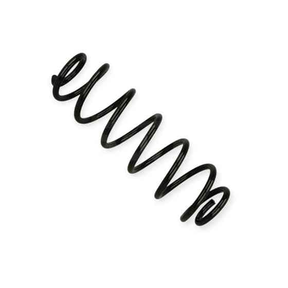 Пружина Skoda Rapid, Seat Toledo IV 12- задняя Мукачево