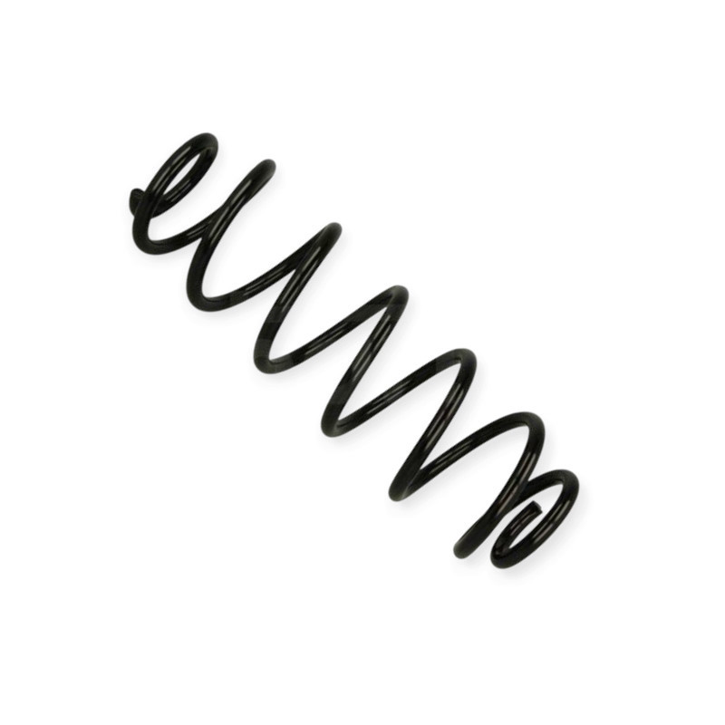 Пружина Skoda Rapid, Seat Toledo IV 12- задняя Мукачево - изображение 1