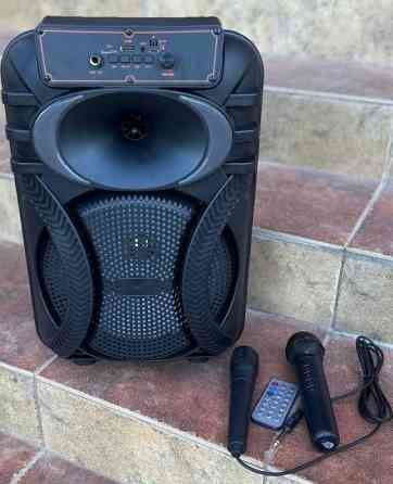 Портативная колонка аккумуляторная с 2️⃣ микрофономи. Харьков