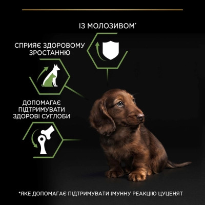 Сухий корм для собак Purina Pro Plan Dog Small&amp;Mini Puppy з куркою і рисом 3 кг (7613035114340) Вінниця - фото 9