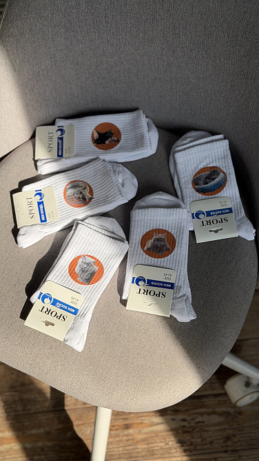 Набор носков с фото домашнего питомца 7 пар Черный, 40-43 Черновцы - изображение 1