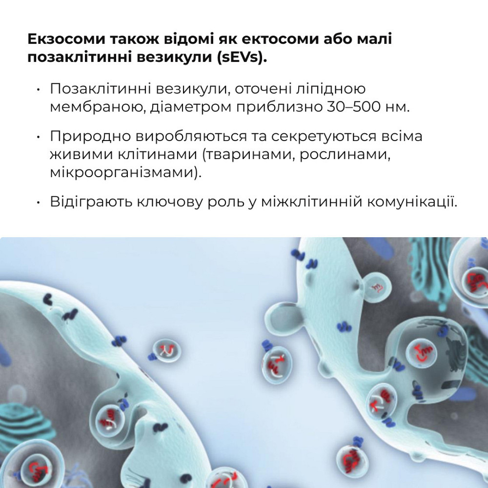 Антигравітаційна моделююча сироватка з екзосомами центелли для обличчя та шиї Hillary ReNuAge ContourLift Serum, 30 мл Київ - фото 18