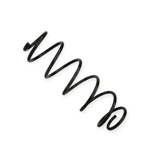 Пружина Renault Laguna III (07-15) HB задняя Мукачево