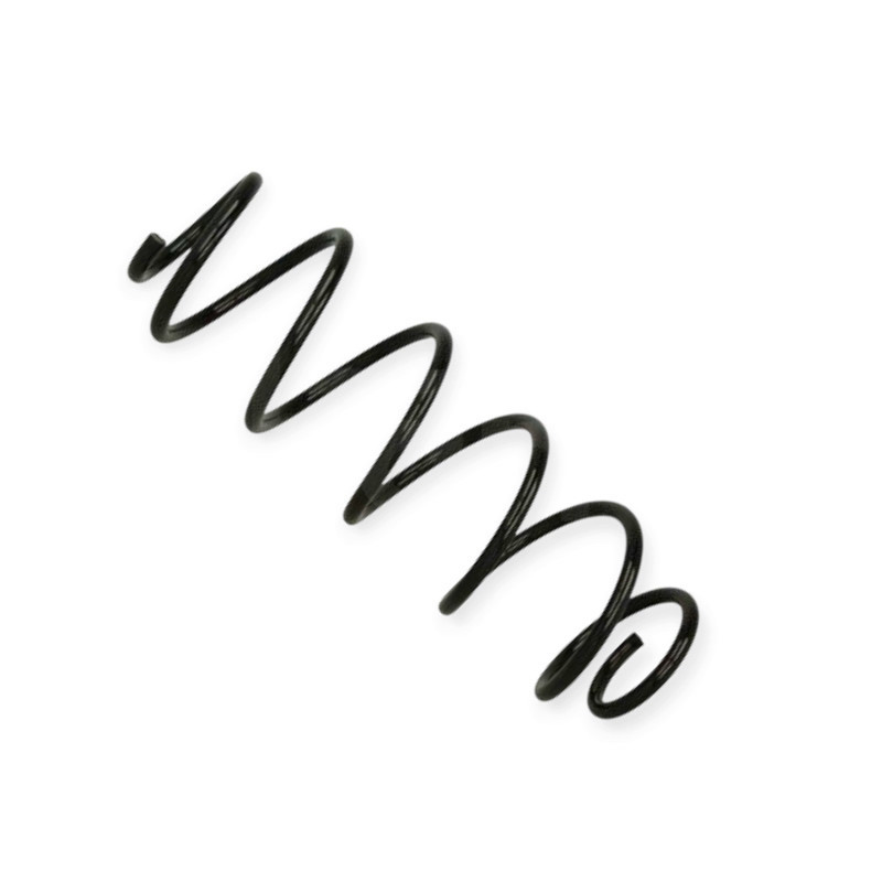 Пружина Renault Laguna III (07-15) HB задняя Мукачево - изображение 1