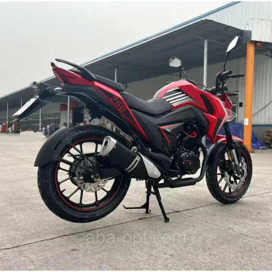 Мотоцикл BS-250 Forte Об'єм 233 см3 шини 17''/17'' 19 к.с. купити в інтернет-магазині дешево Одеса