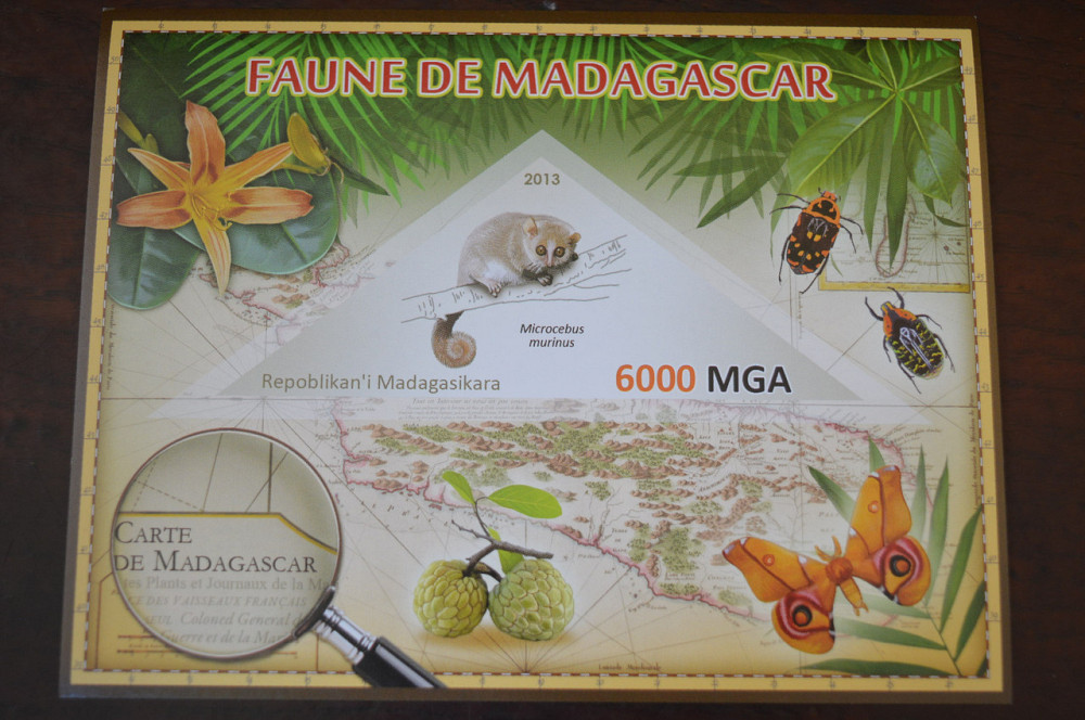 Мадагаскар. Фауна. Личности. Блок. 2014 р. (А-34) Полтава - фото 1
