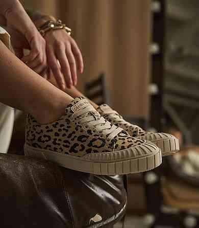 Кеды женские Stella Vinci леопард натуральная замша 37-40р. (5399) Коломыя