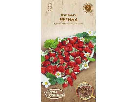 Сущеница РЕГИНА 0,1г (20 пачек) ТМ НАСИКА УКРАИНЫ Киев