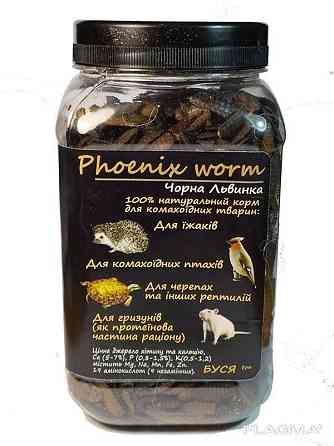 Чорна Львинка "Phoenix Worm" тм Буся. Корм для їжаків, птахів, гризунів, рептилій 600мл/200г Зміїв