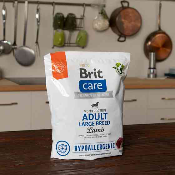Сухой корм Brit Care Dog Hypoallergenic Adult Large Breed для собак больших пород, гипоаллергенный с ягненком, Винница