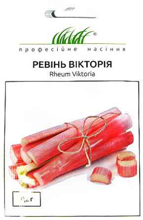 Семена Ревень Виктория Киев