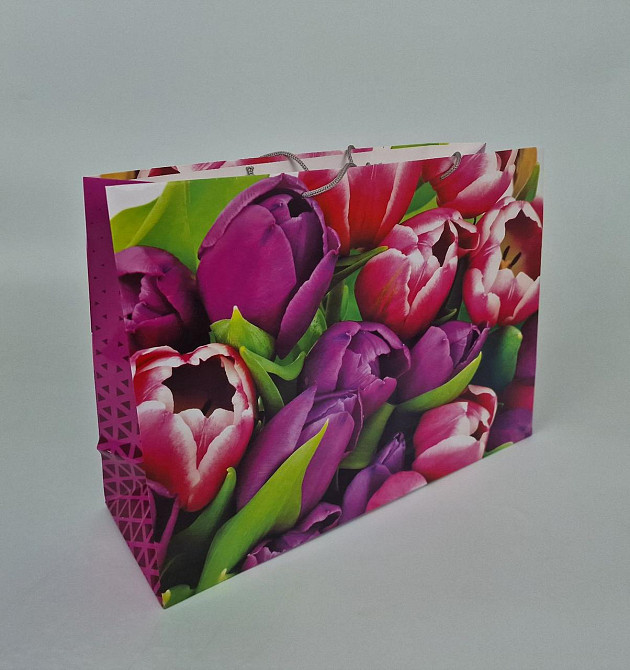 Паперовий пакет горизонтальний гігант 46*33*15 (артGG-018) (12 шт.) Харків - фото 1